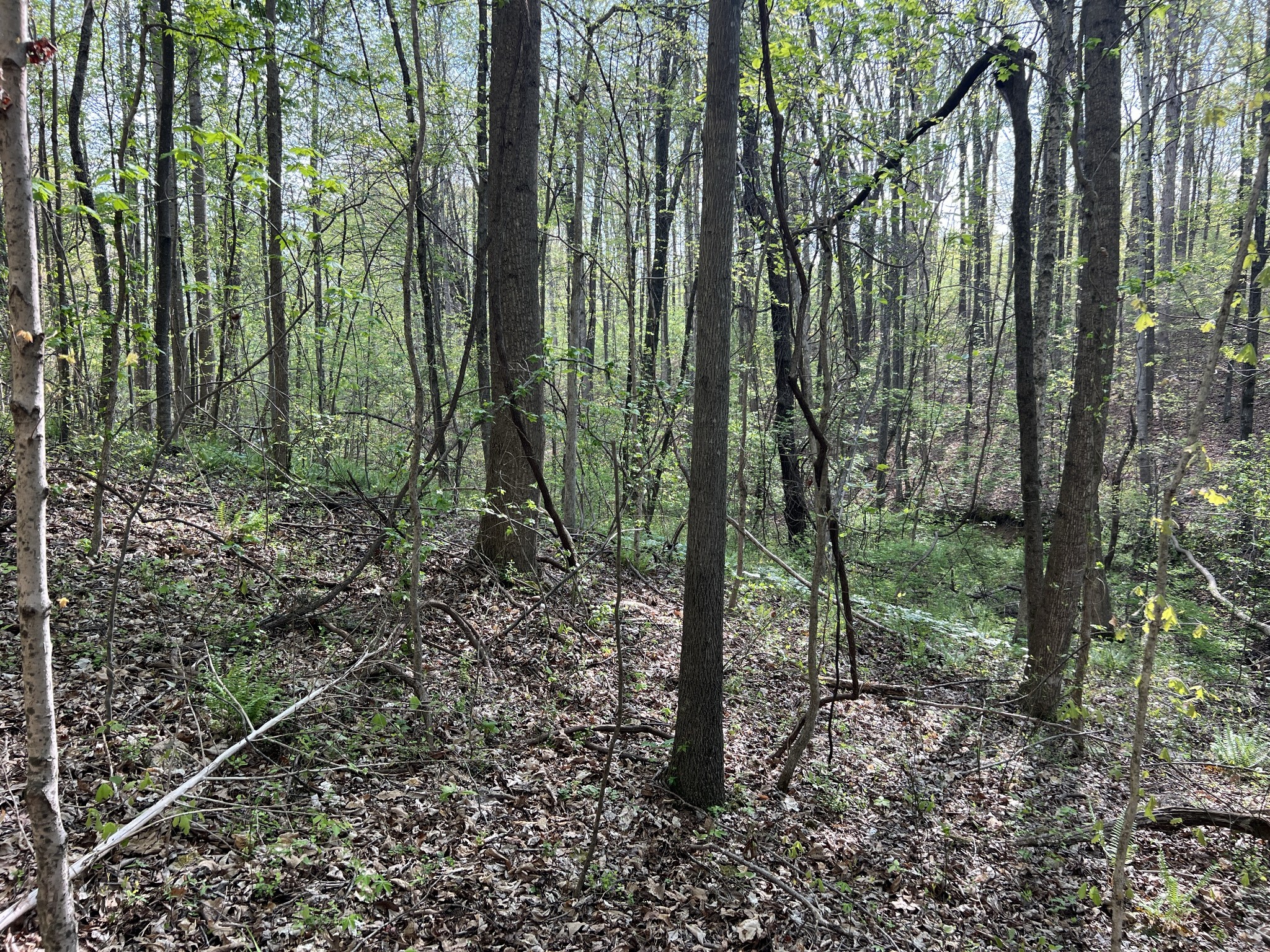 0 Valley Road Fairview TN 37062