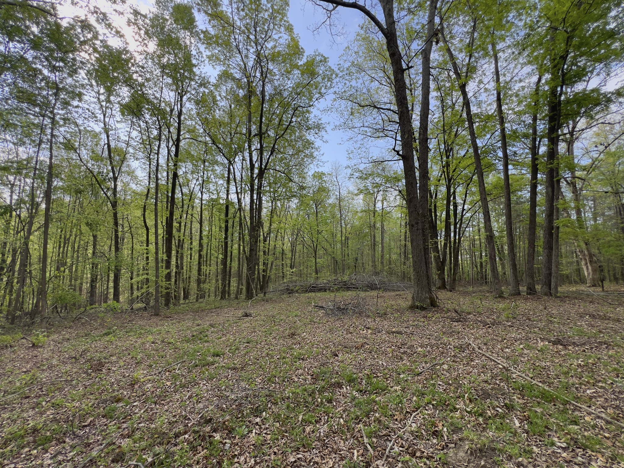 0 Valley Road Fairview TN 37062