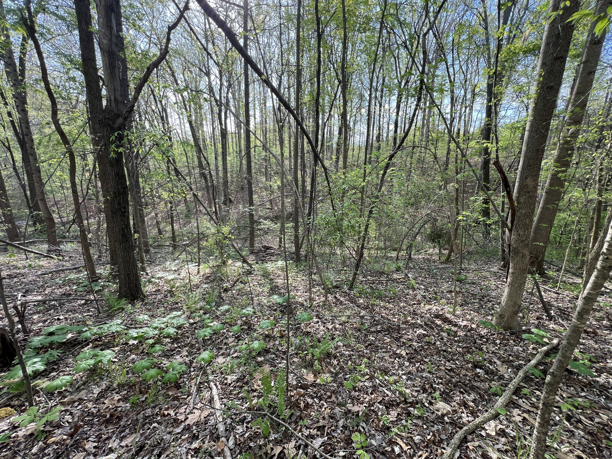 0 Valley Road Fairview TN 37062