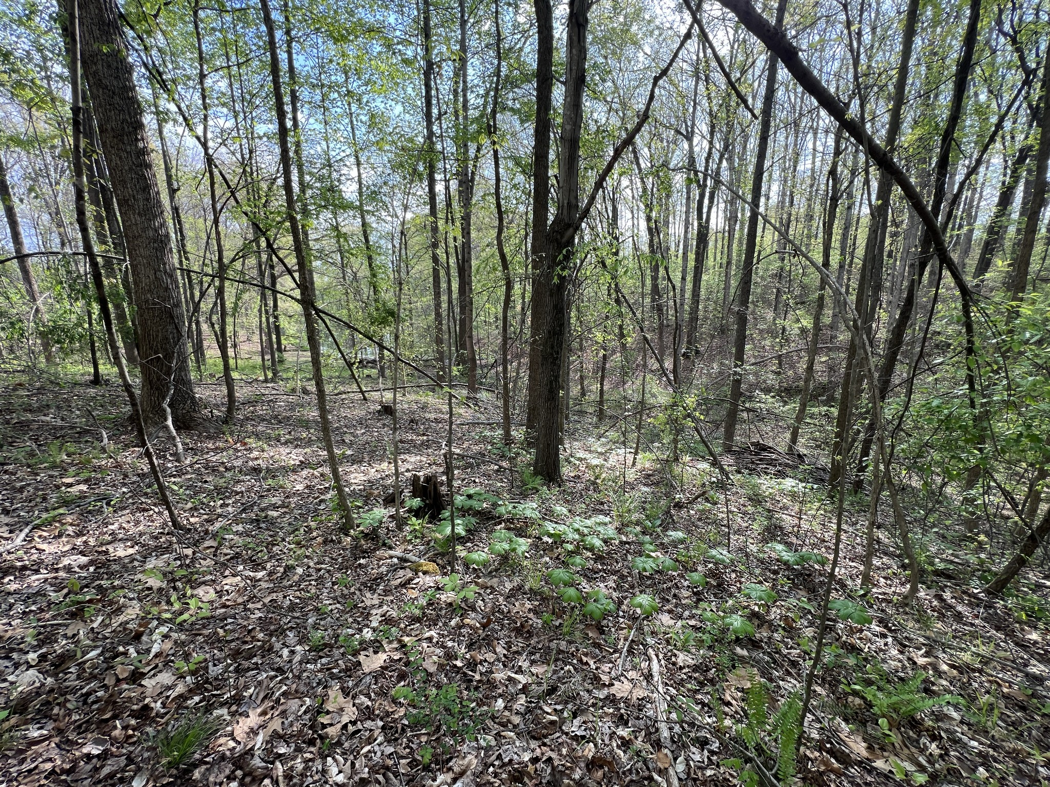 0 Valley Road Fairview TN 37062