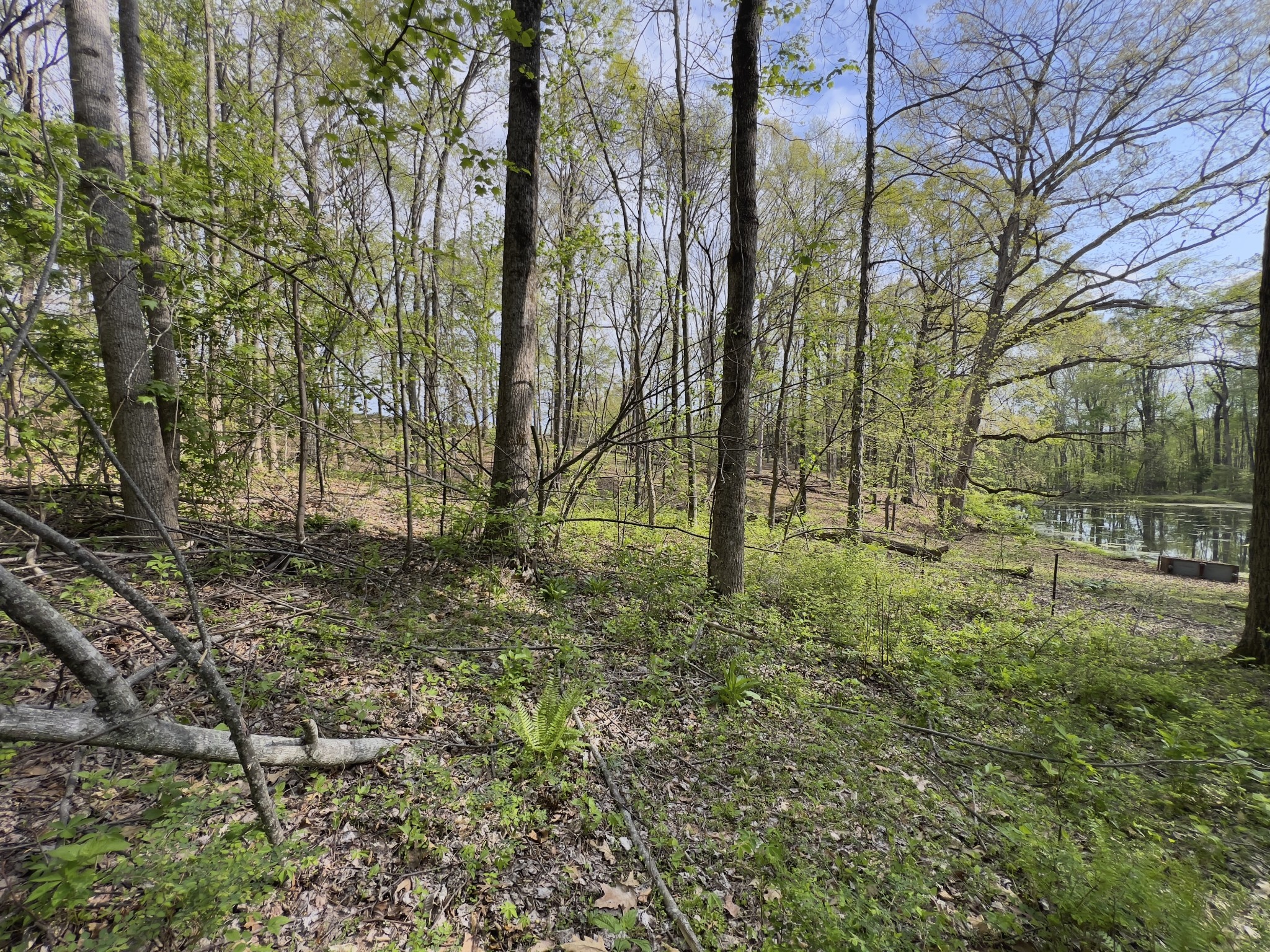 0 Valley Road Fairview TN 37062