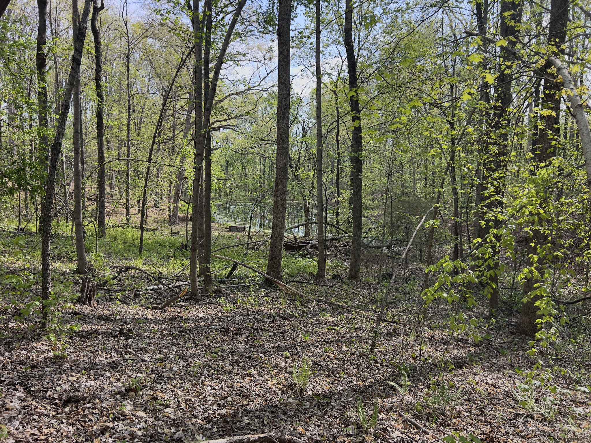 0 Valley Road Fairview TN 37062