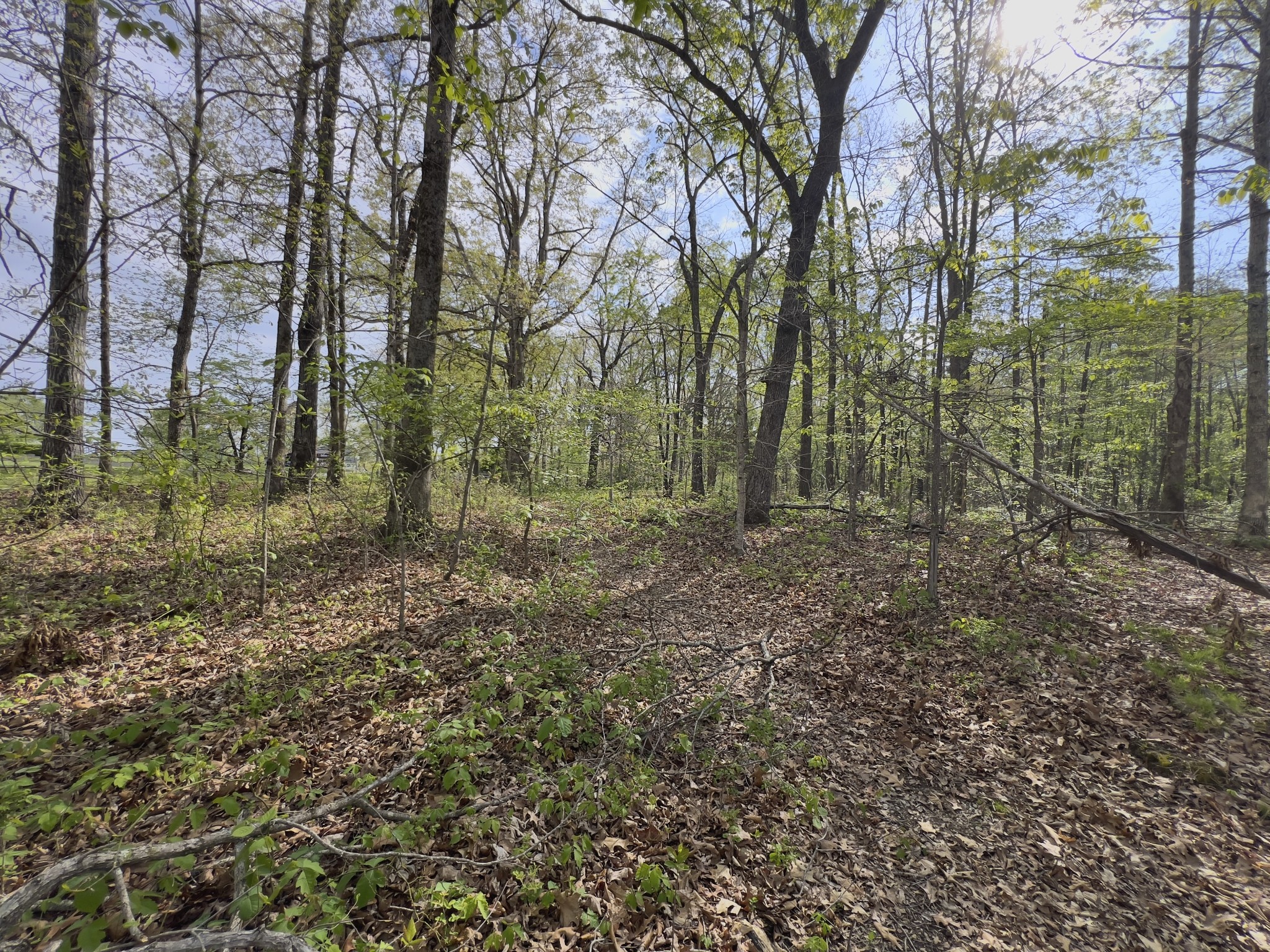 0 Valley Road Fairview TN 37062