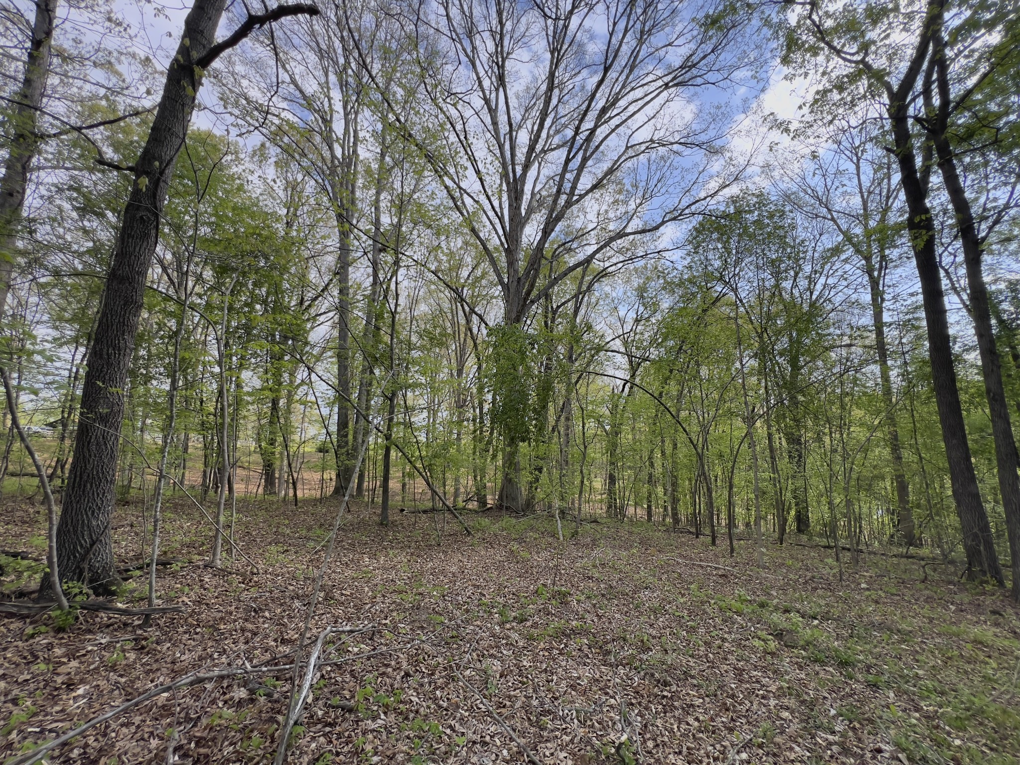 0 Valley Road Fairview TN 37062