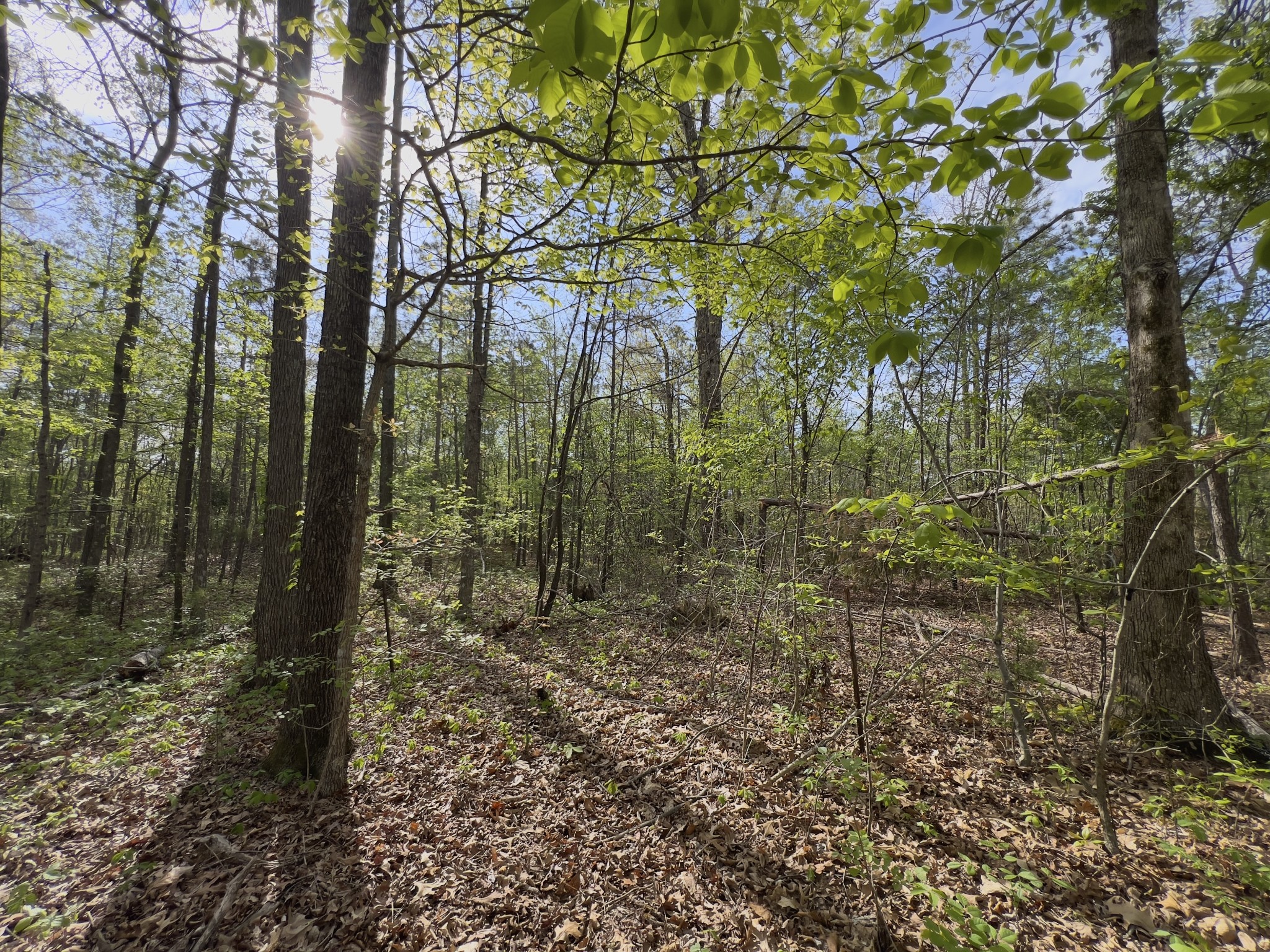 0 Valley Road Fairview TN 37062