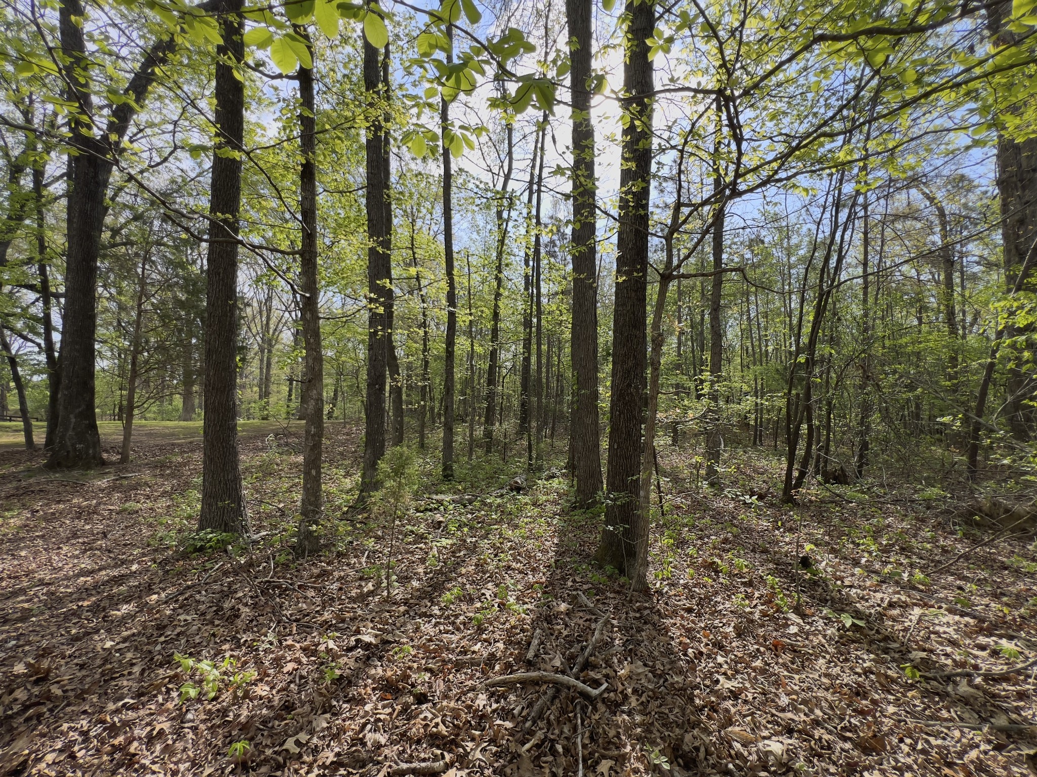 0 Valley Road Fairview TN 37062