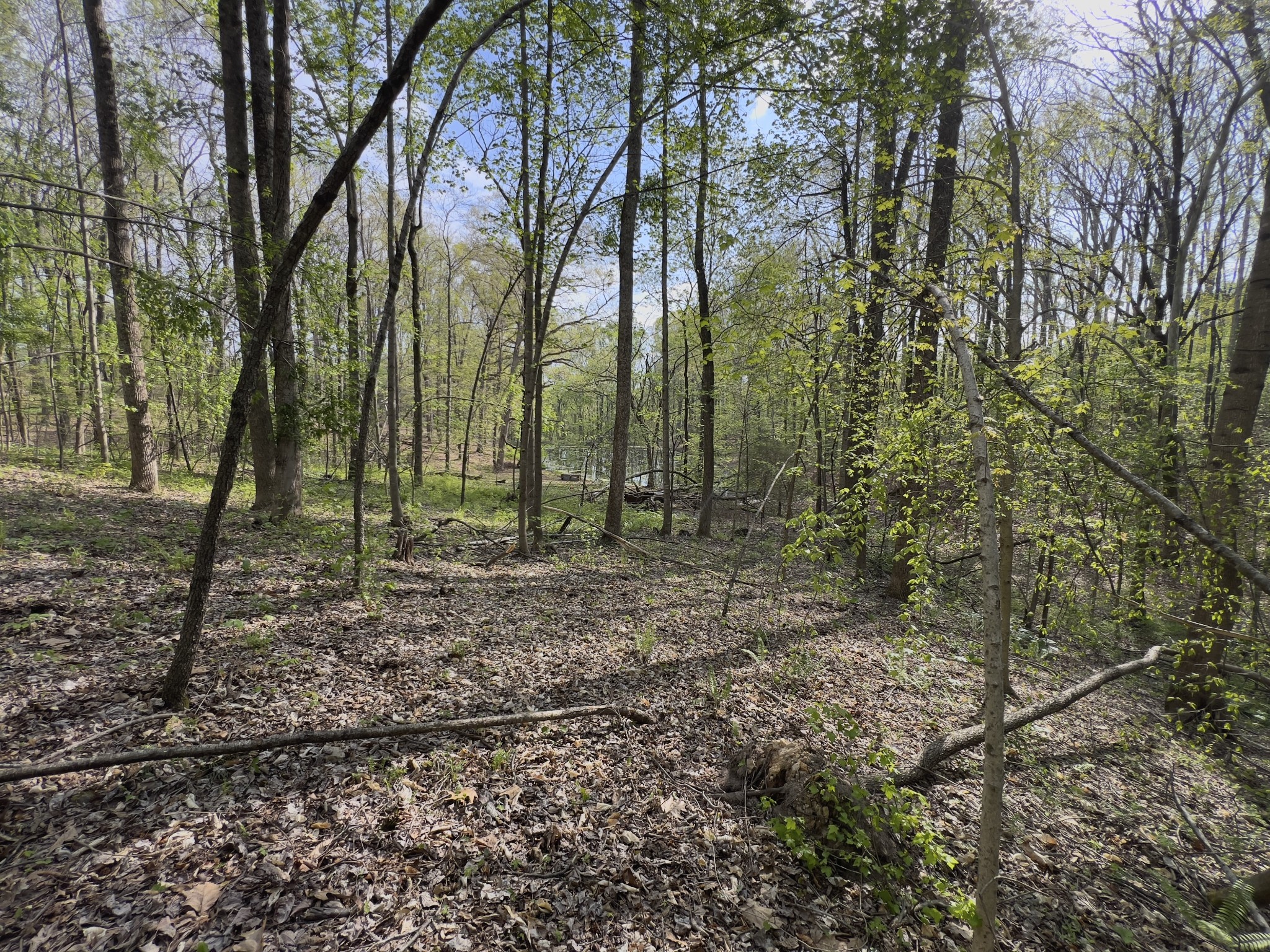 0 Valley Road Fairview TN 37062