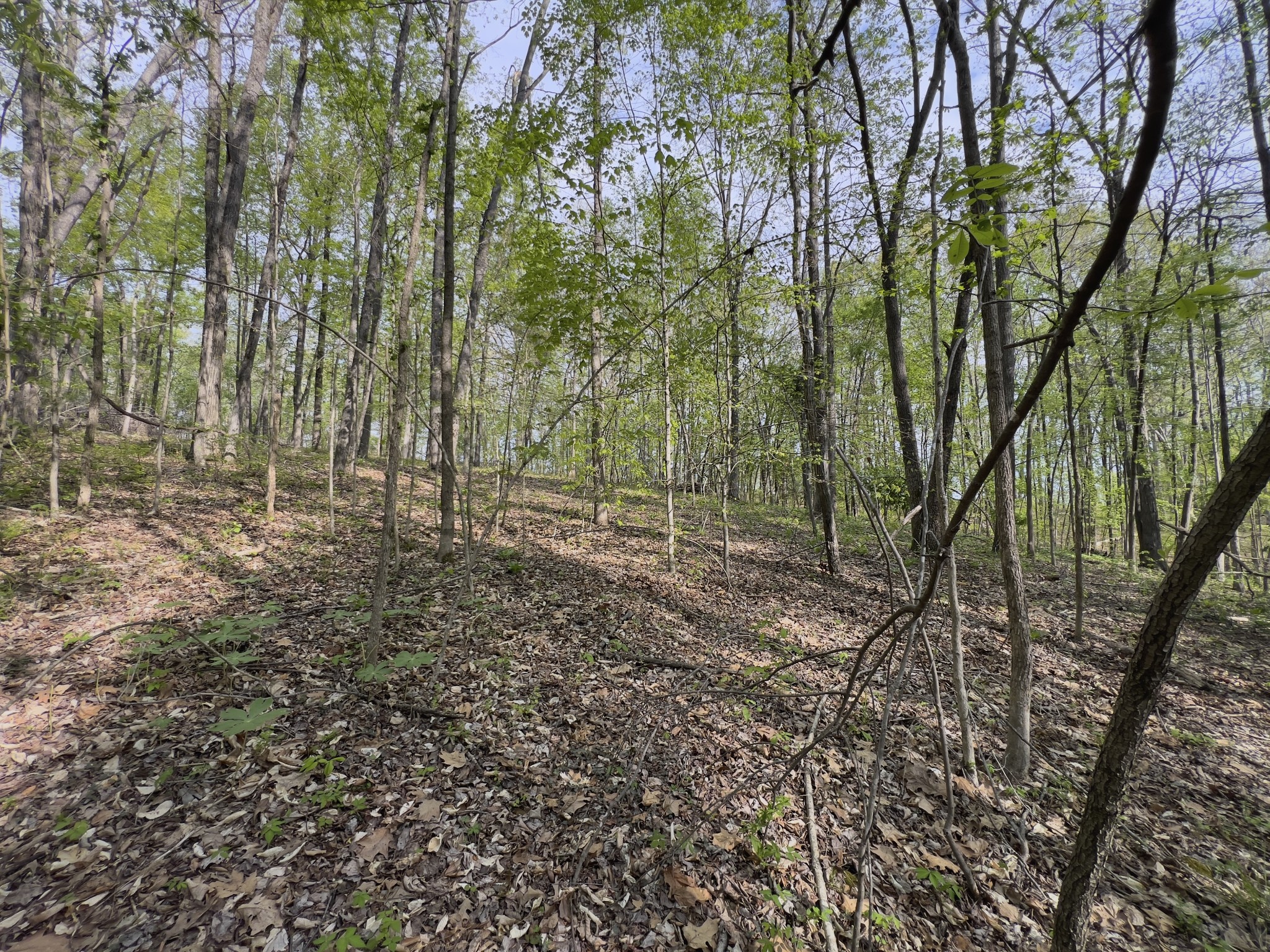 0 Valley Road Fairview TN 37062