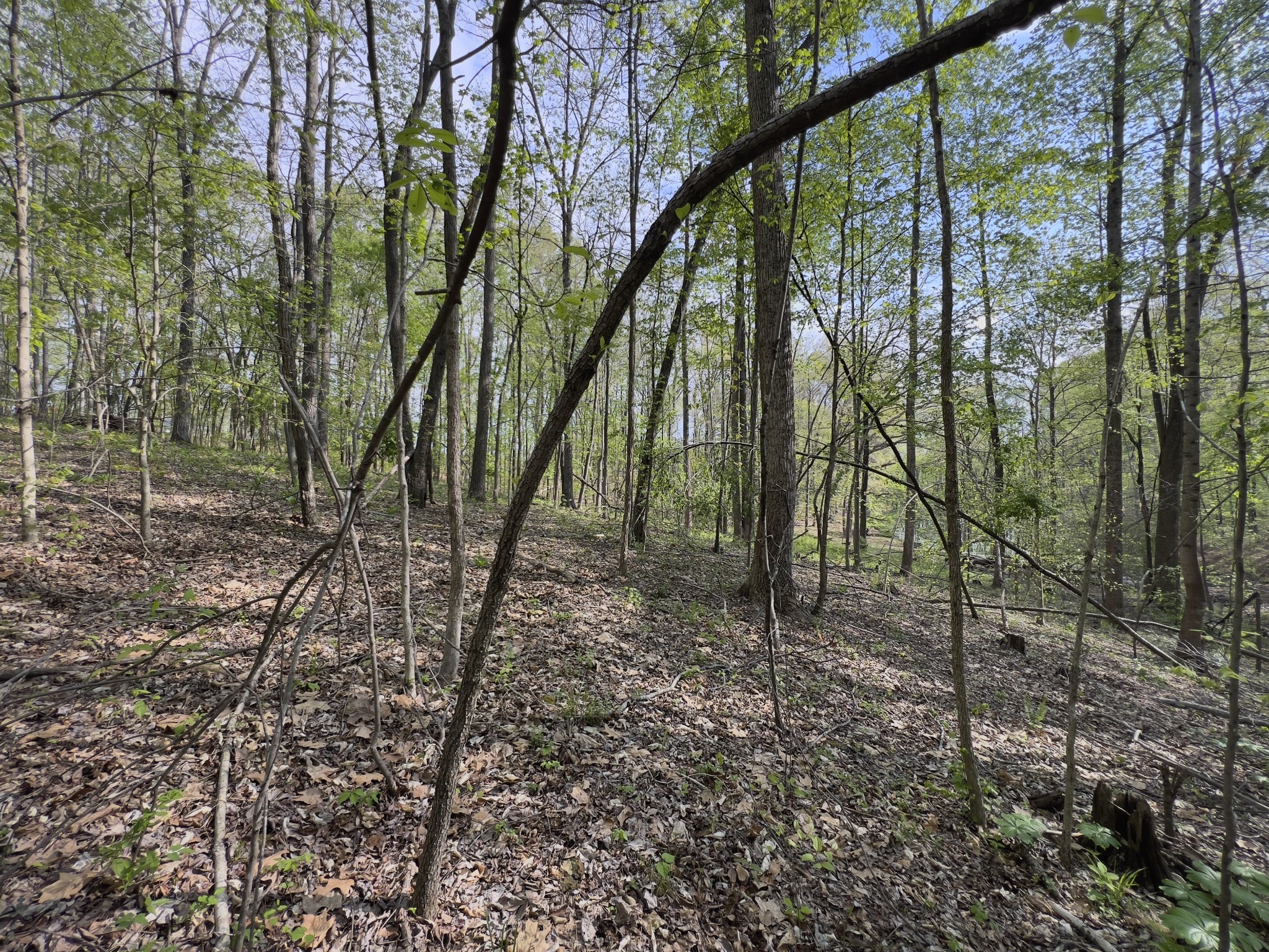 0 Valley Road Fairview TN 37062