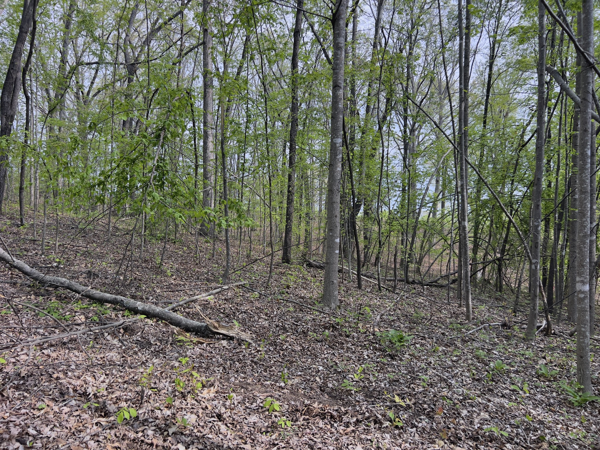 0 Valley Road Fairview TN 37062