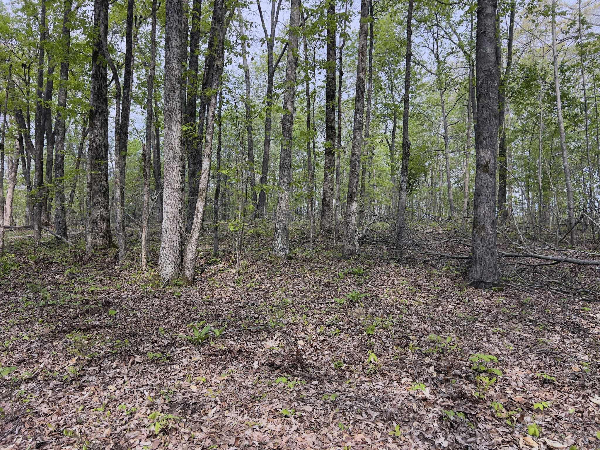 0 Valley Road Fairview TN 37062