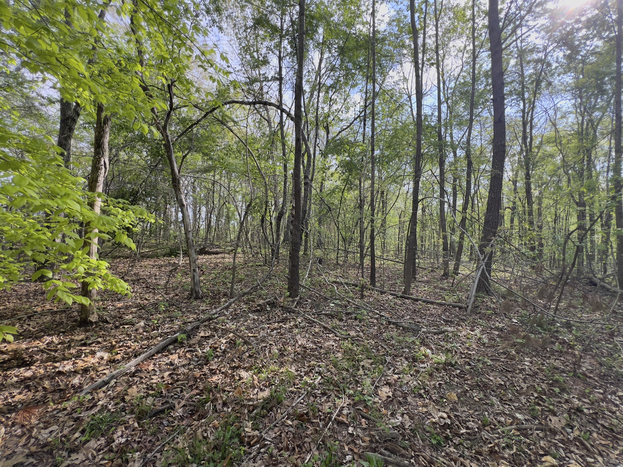 0 Valley Road Fairview TN 37062