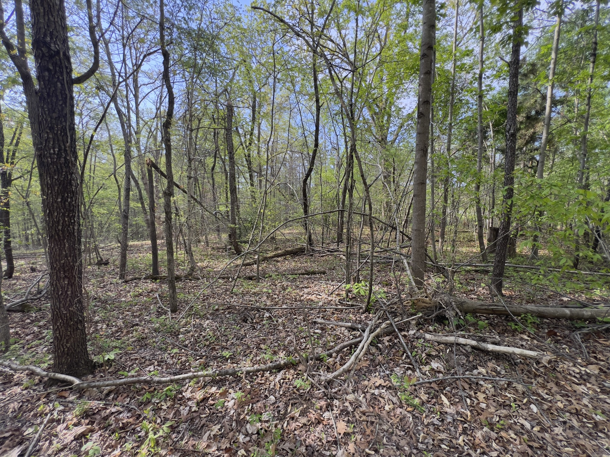 0 Valley Road Fairview TN 37062