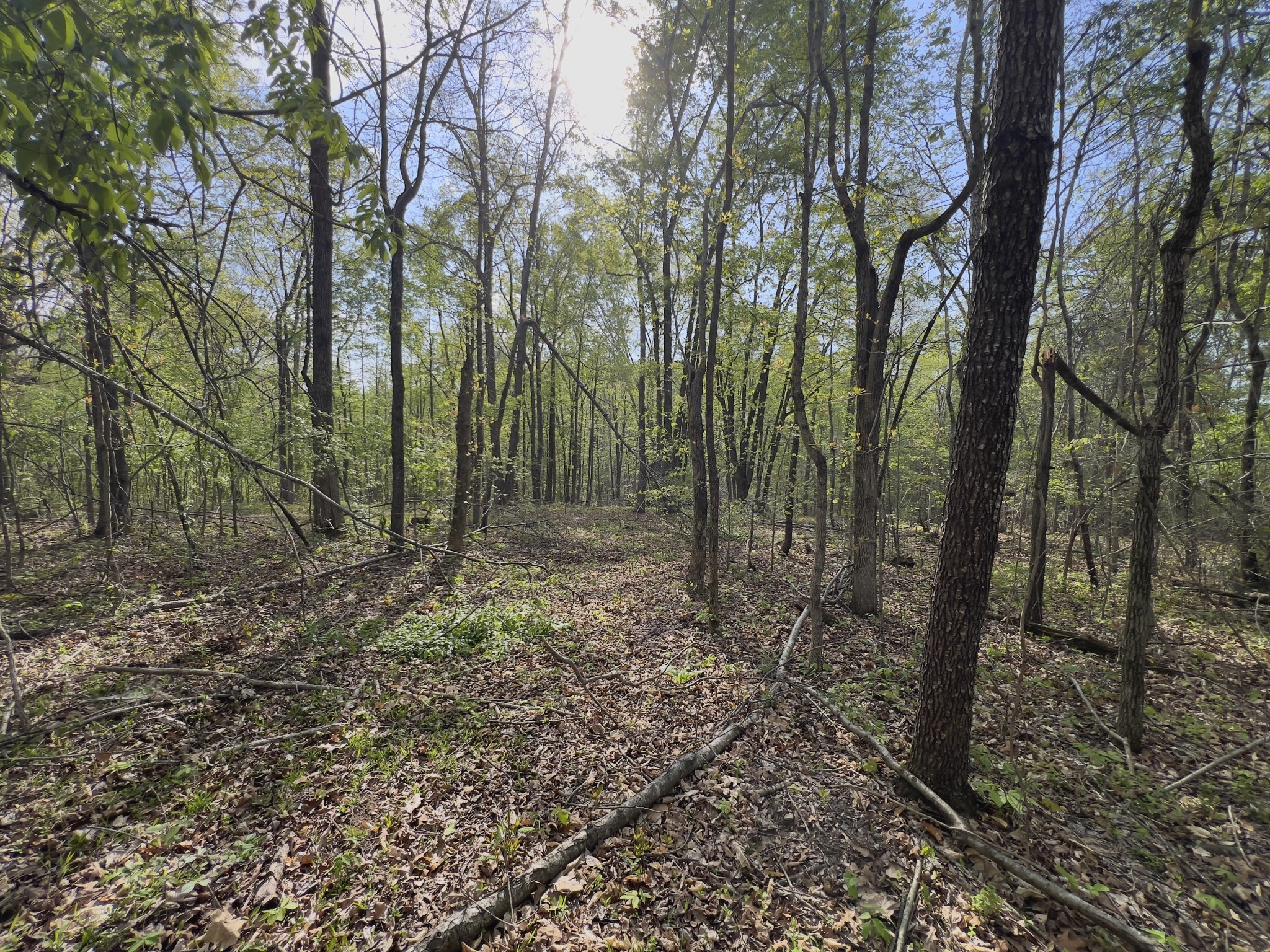 0 Valley Road Fairview TN 37062