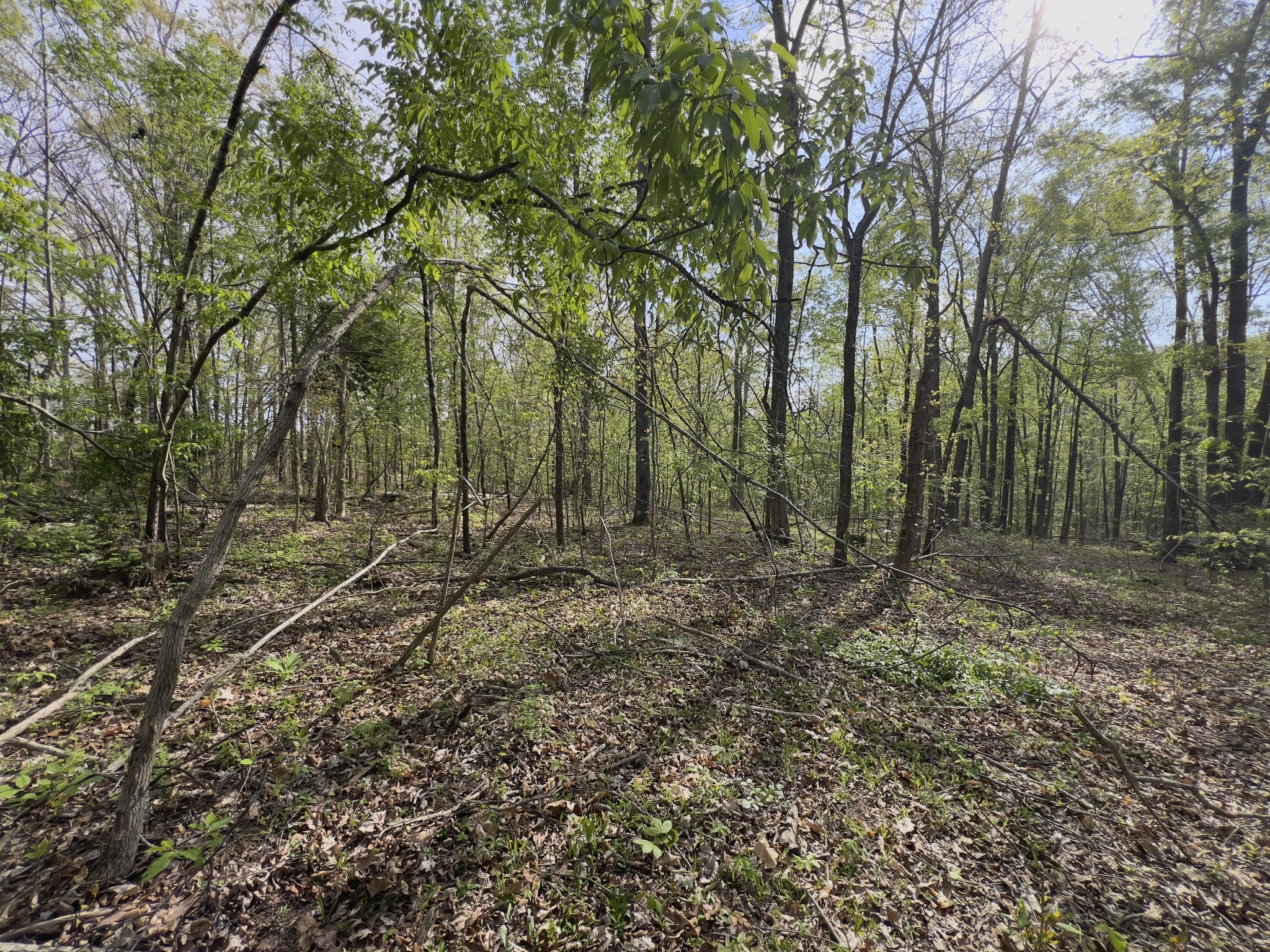 0 Valley Road Fairview TN 37062