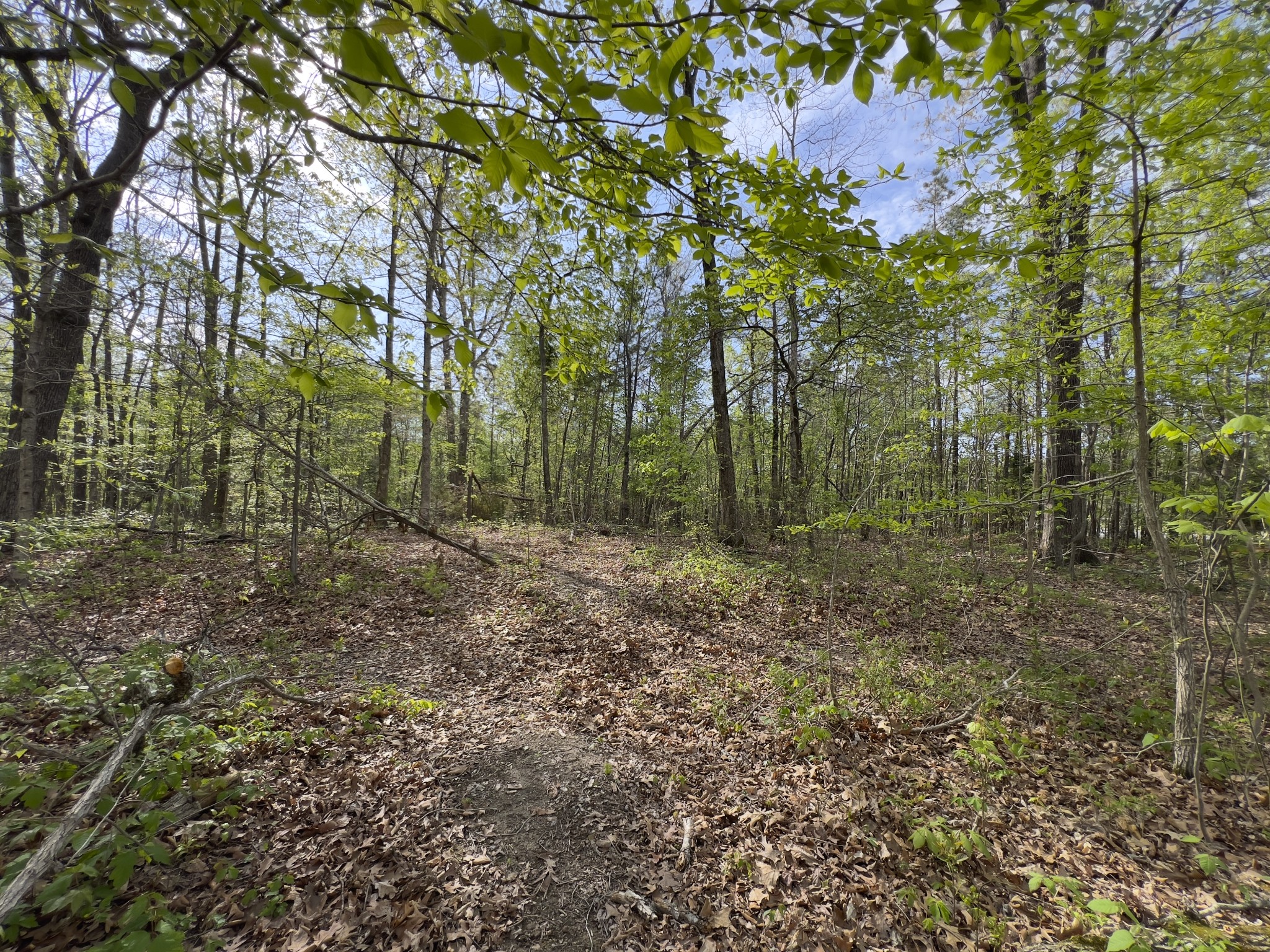 0 Valley Road Fairview TN 37062