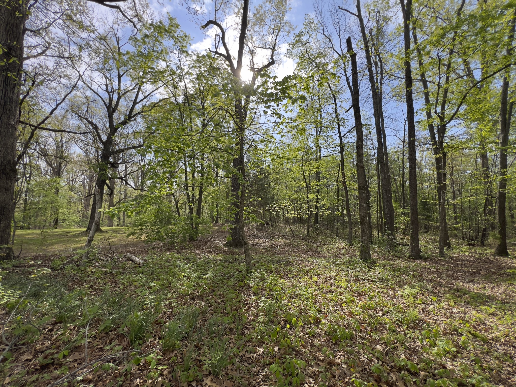 0 Valley Road Fairview TN 37062