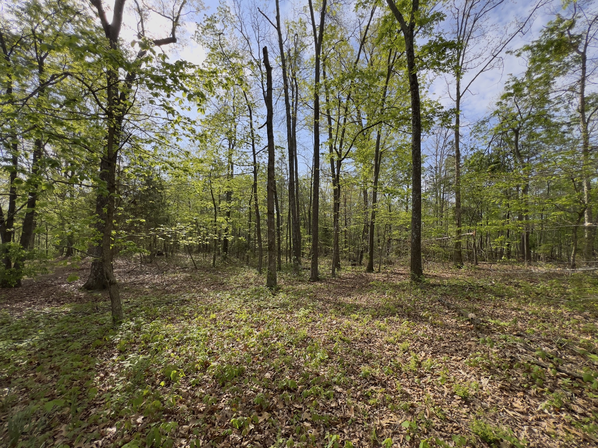 0 Valley Road Fairview TN 37062
