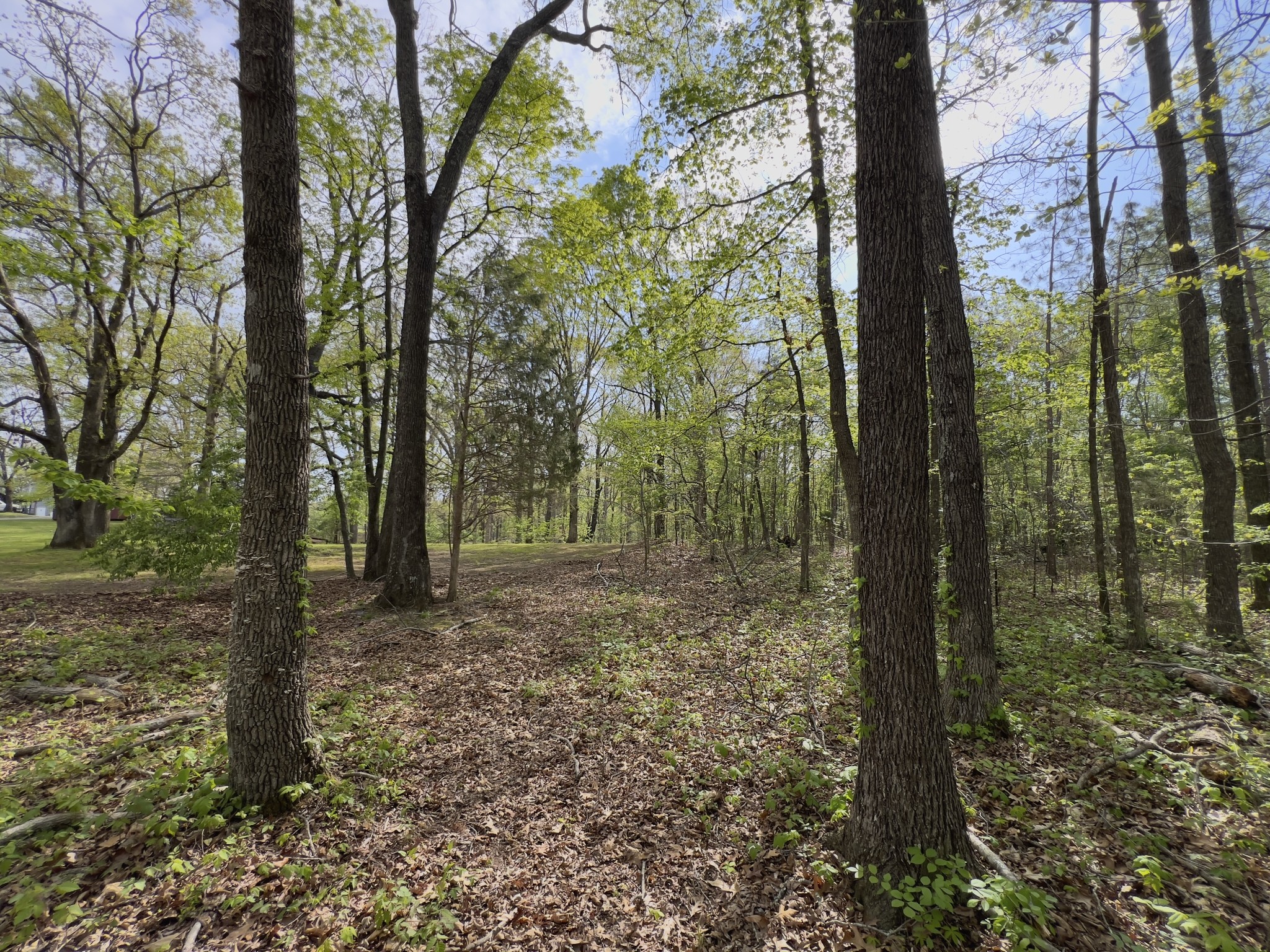 0 Valley Road Fairview TN 37062
