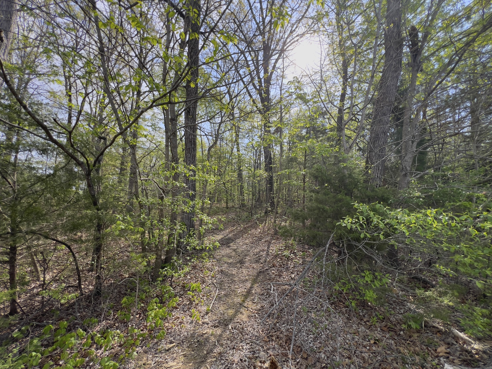 0 Valley Road Fairview TN 37062