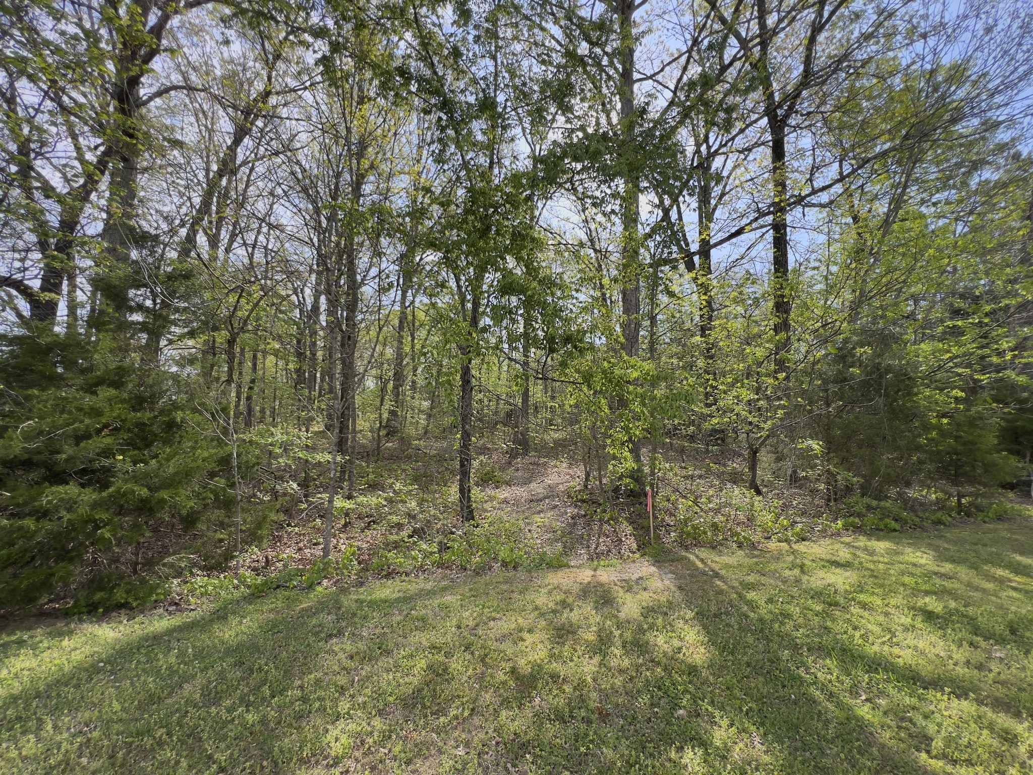 0 Valley Road Fairview TN 37062
