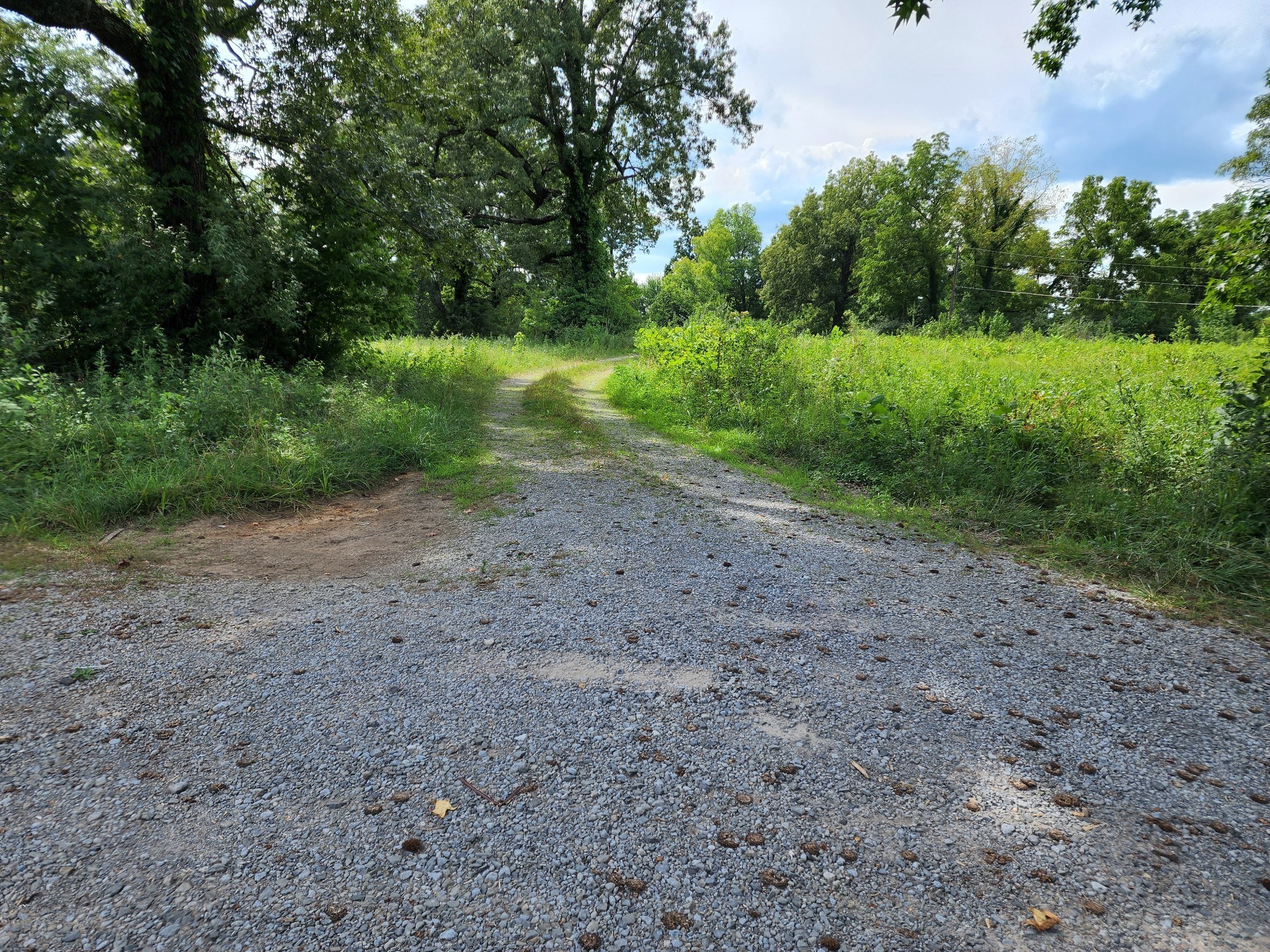 0 Old Highway 46 S, S Dickson TN 37055