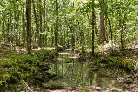220 Gitty Up Lane Bradyville TN 37026