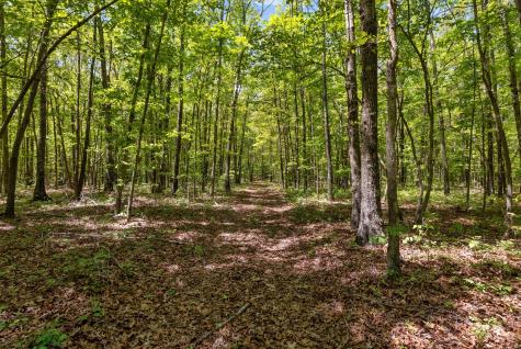 220 Gitty Up Lane Bradyville TN 37026