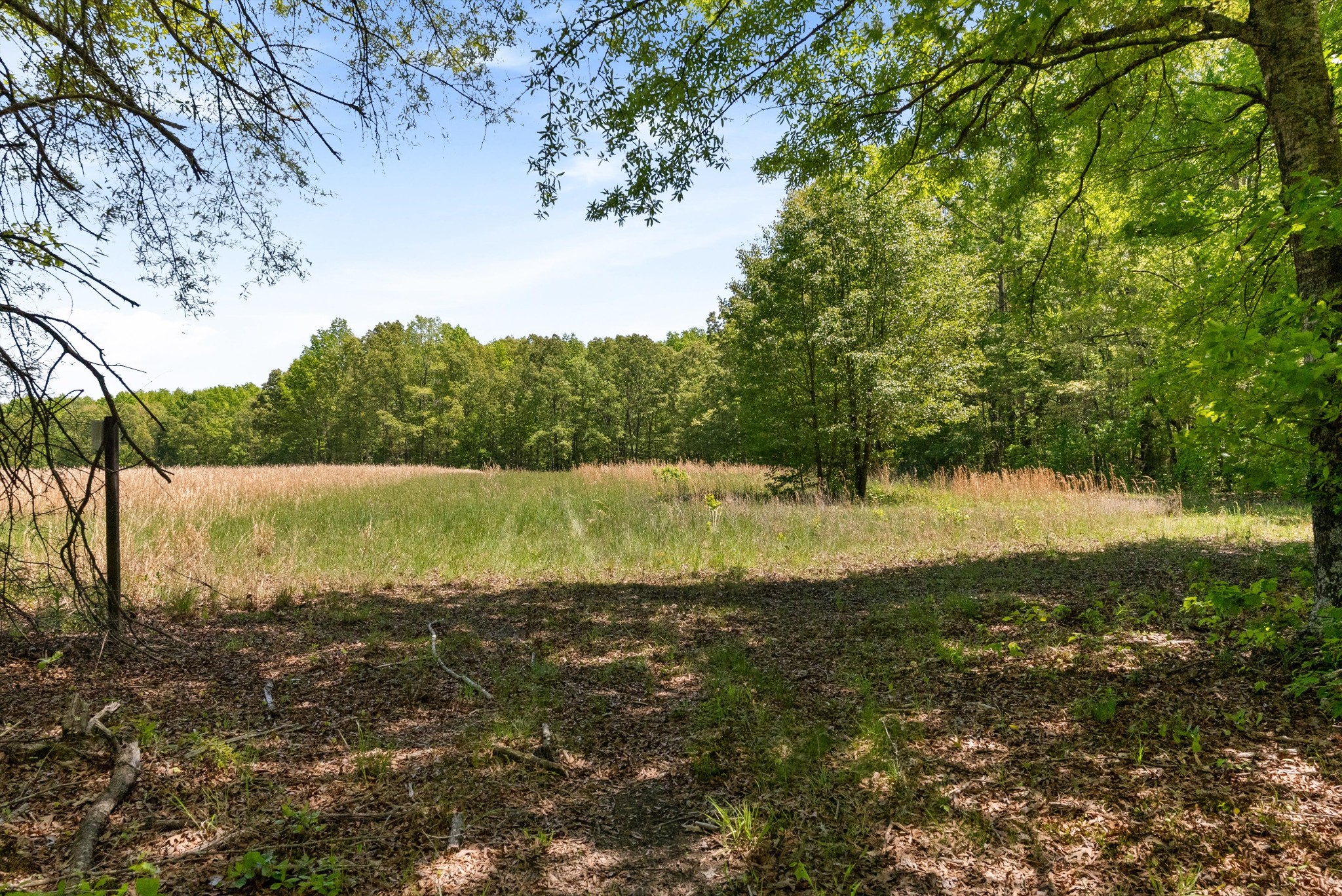 220 Gitty Up Lane Bradyville TN 37026