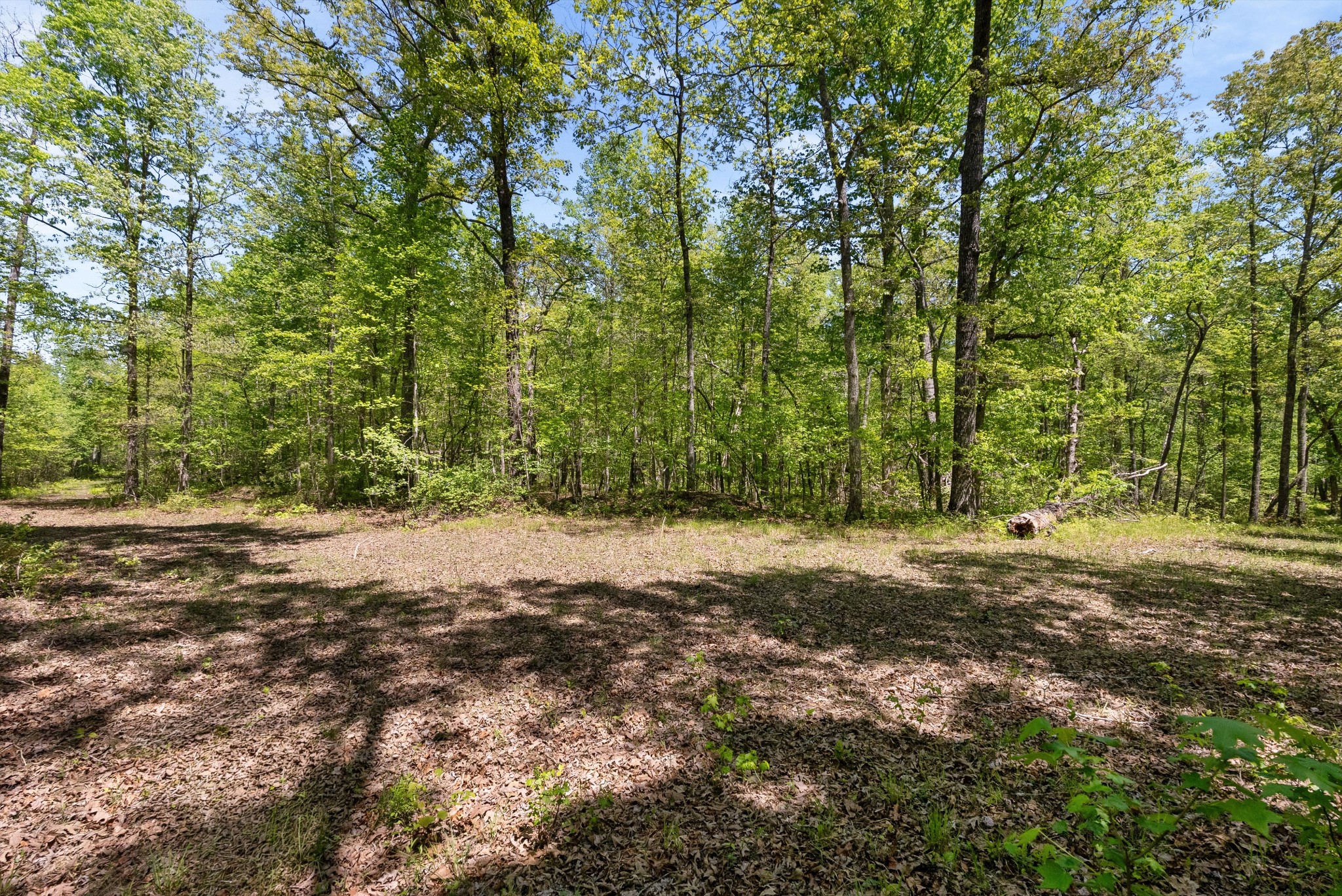 220 Gitty Up Lane Bradyville TN 37026
