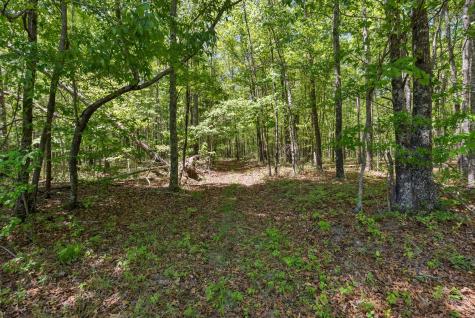 220 Gitty Up Lane Bradyville TN 37026