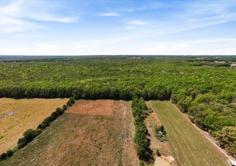 220 Gitty Up Lane Bradyville TN 37026
