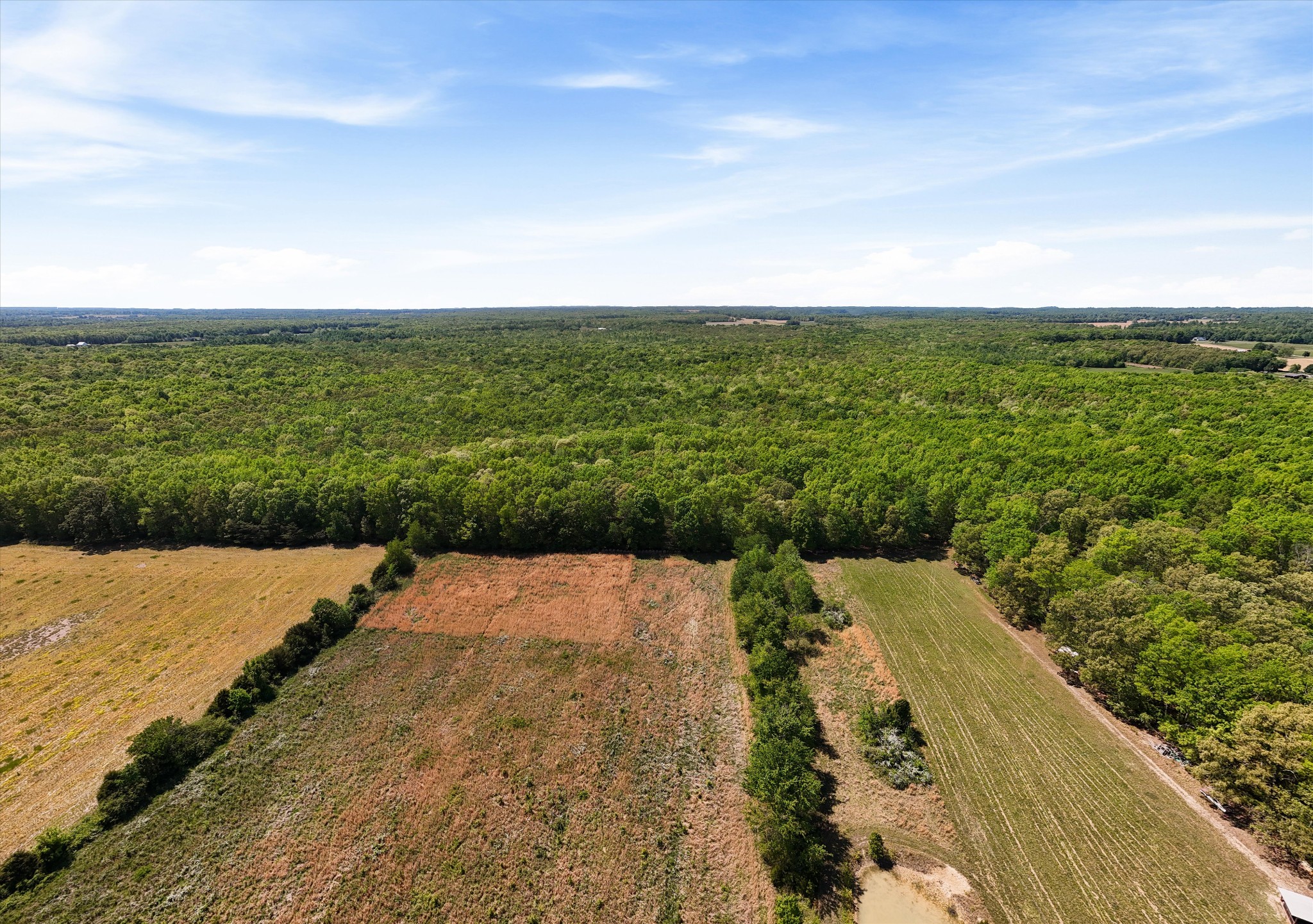220 Gitty Up Lane Bradyville TN 37026