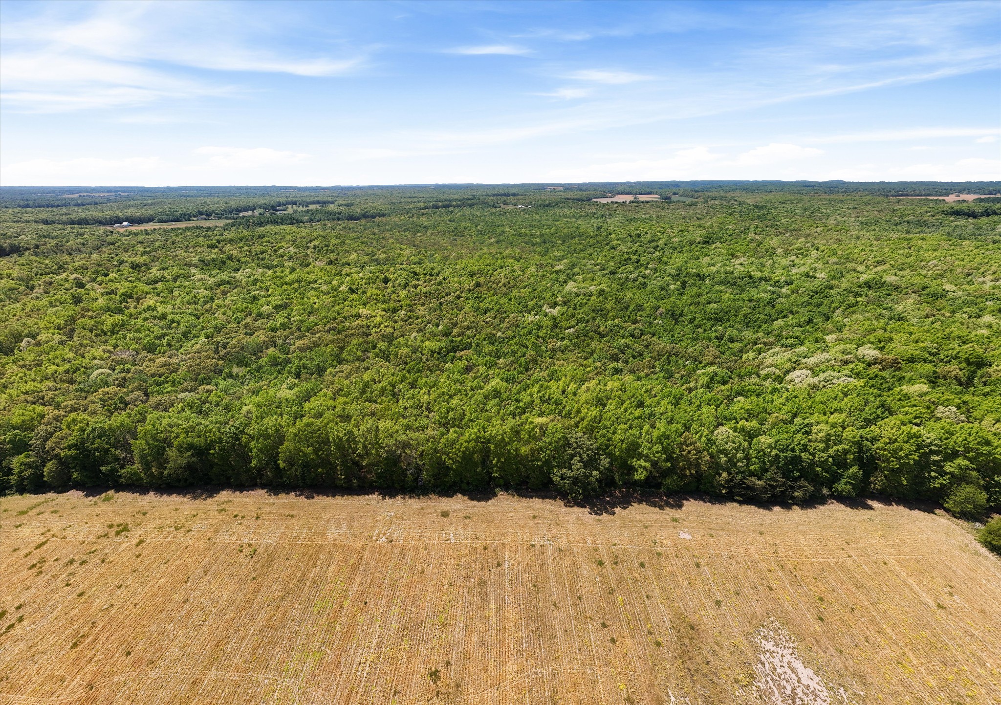 220 Gitty Up Lane Bradyville TN 37026