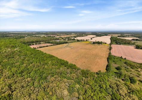 220 Gitty Up Lane Bradyville TN 37026