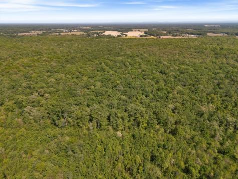 220 Gitty Up Lane Bradyville TN 37026
