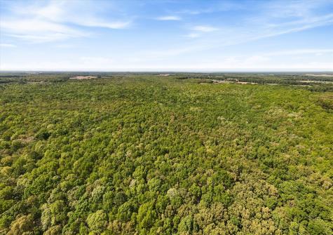 220 Gitty Up Lane Bradyville TN 37026