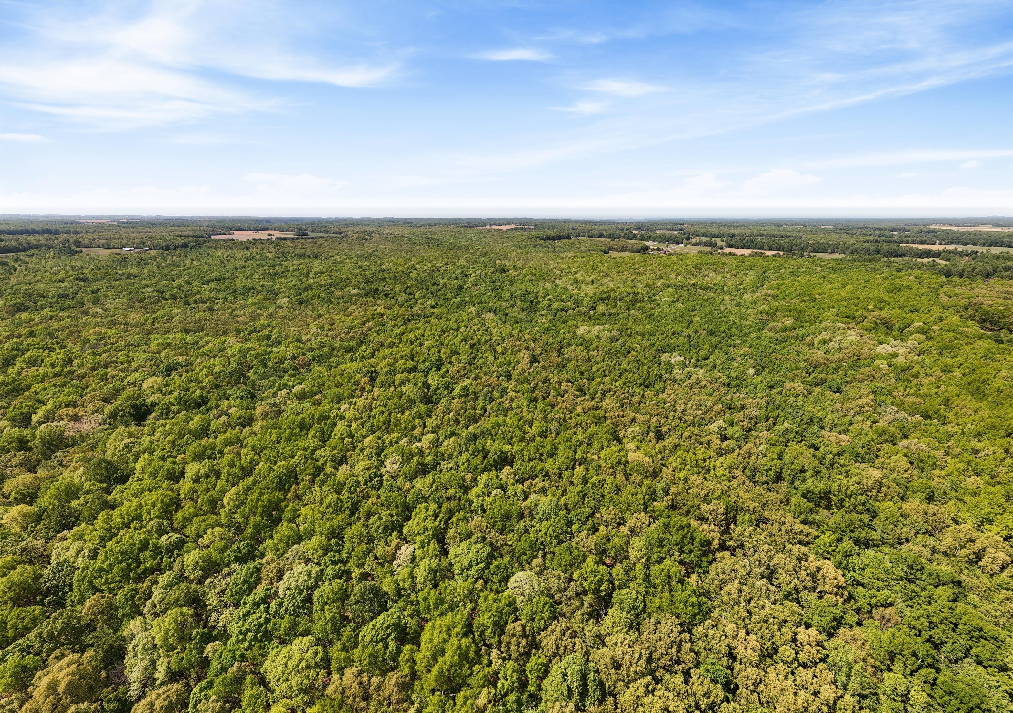 220 Gitty Up Lane Bradyville TN 37026