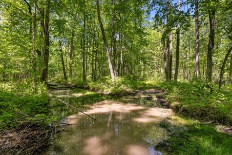 220 Gitty Up Lane Bradyville TN 37026