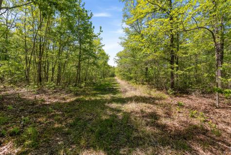 220 Gitty Up Lane Bradyville TN 37026