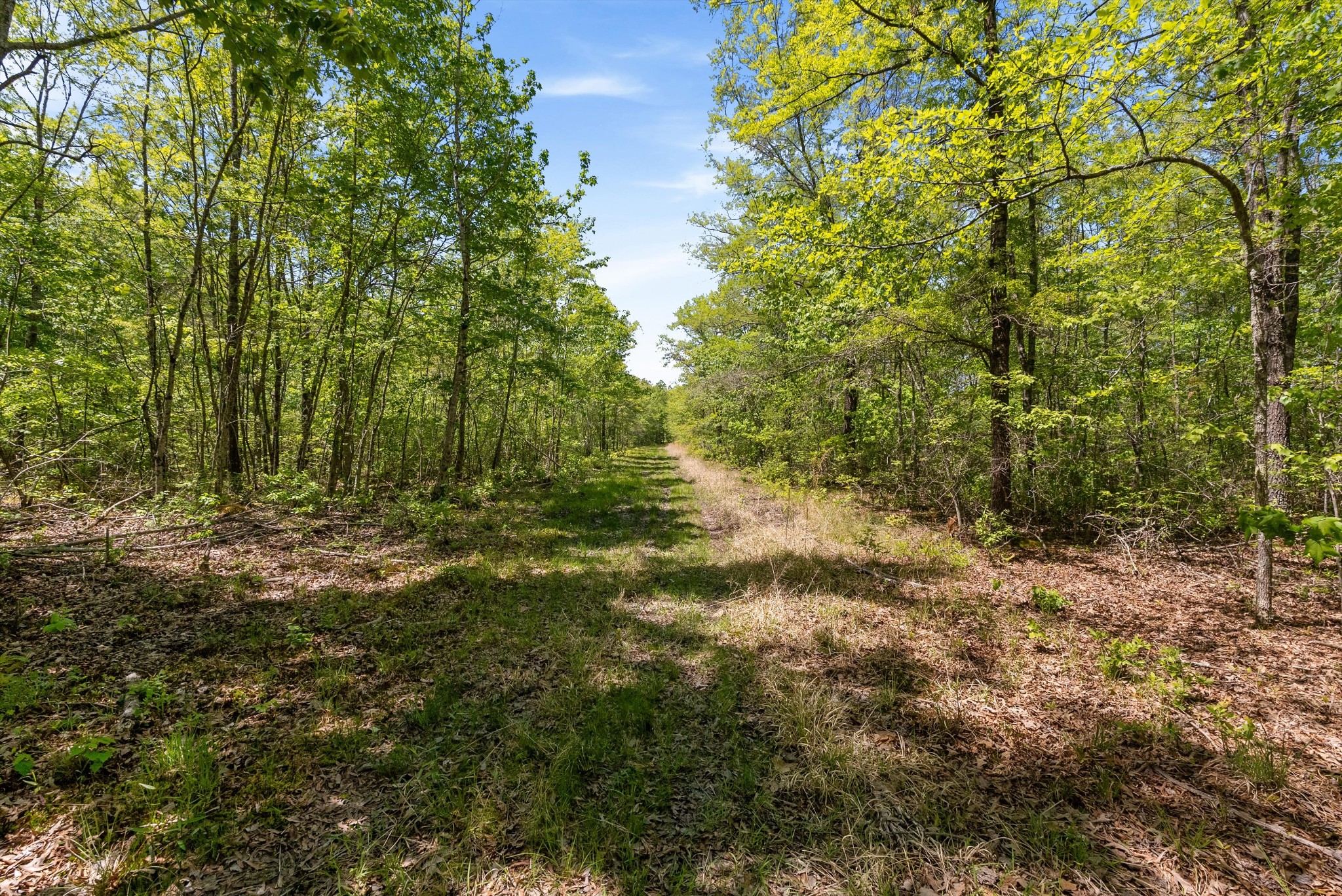 220 Gitty Up Lane Bradyville TN 37026