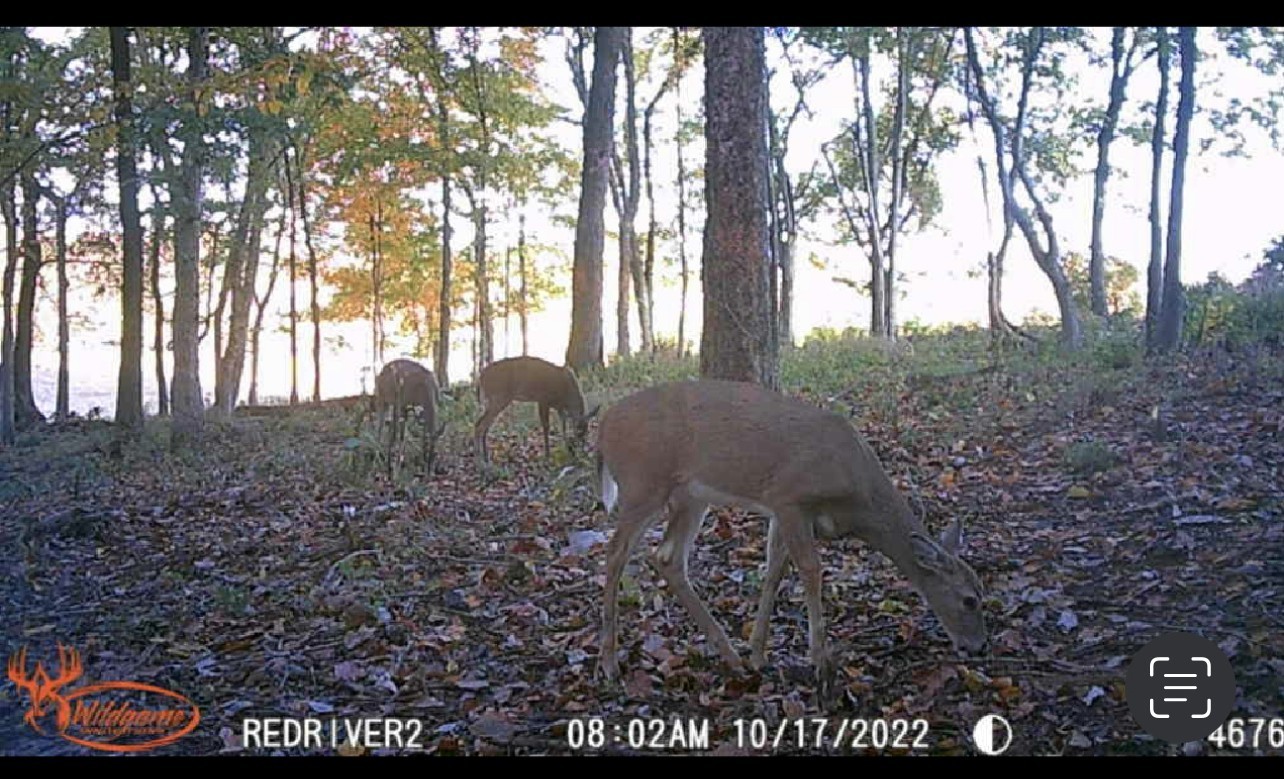 0 Red River School Road Portland TN 37148