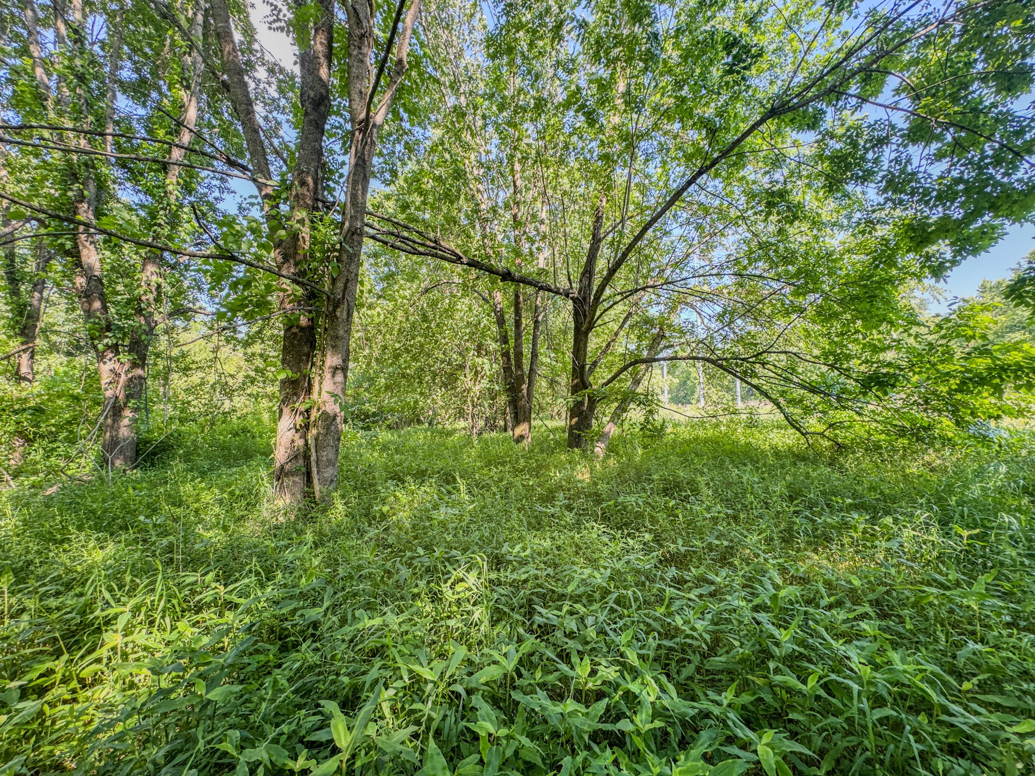 23620 Highway 69 Adamsville TN 38310