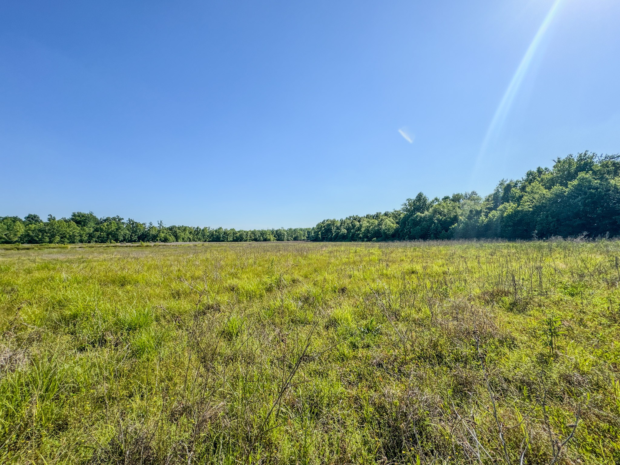 23620 Highway 69 Adamsville TN 38310