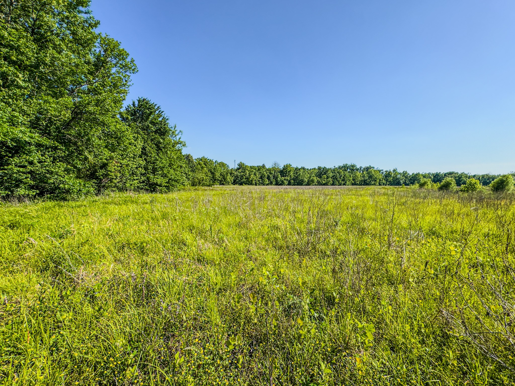 23620 Highway 69 Adamsville TN 38310