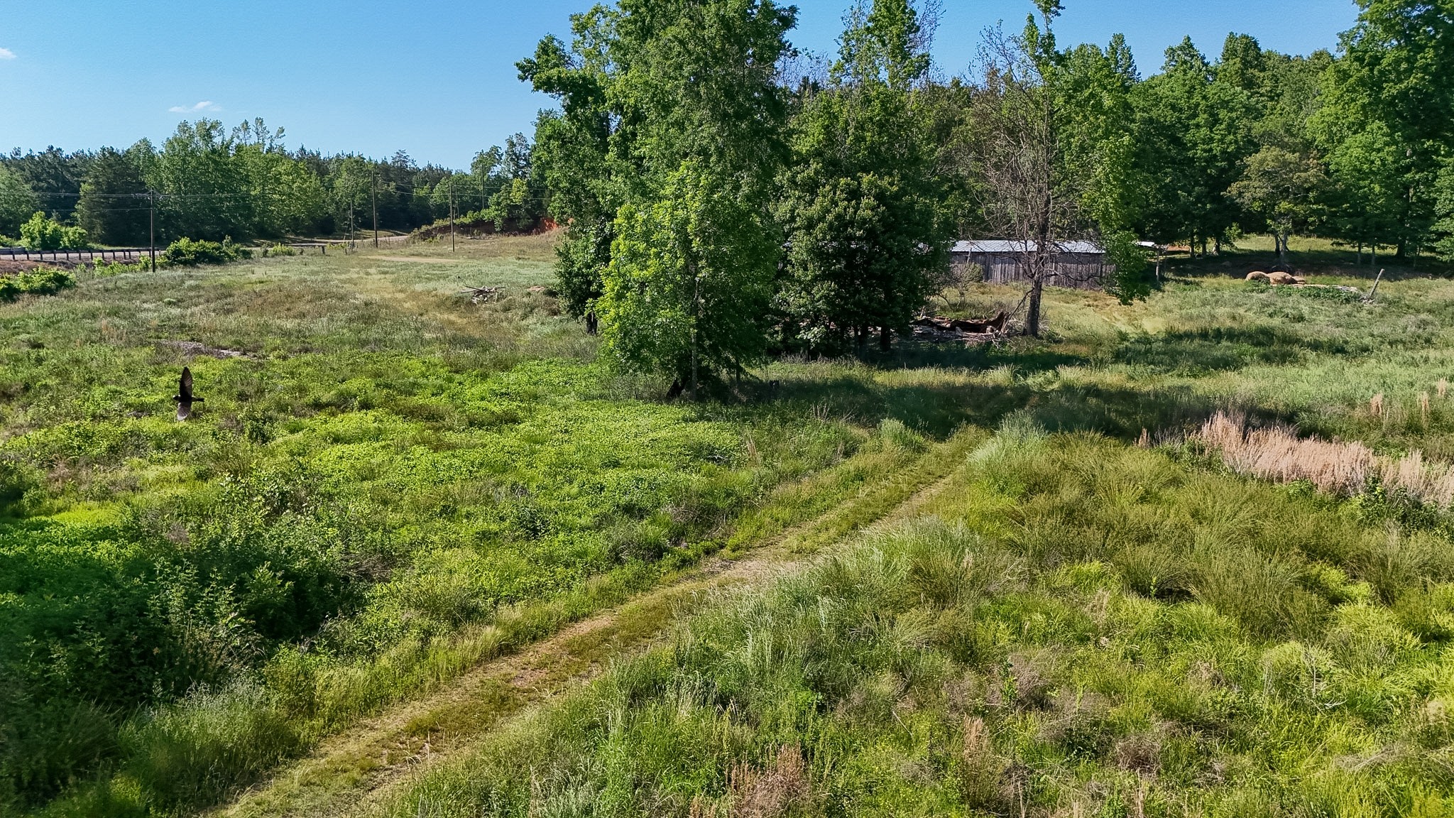 23620 Highway 69 Adamsville TN 38310