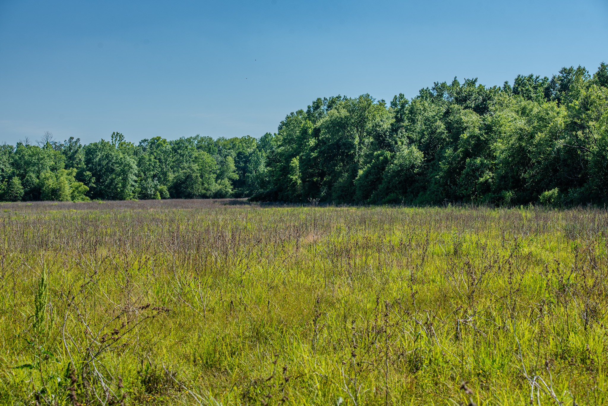 23620 Highway 69 Adamsville TN 38310