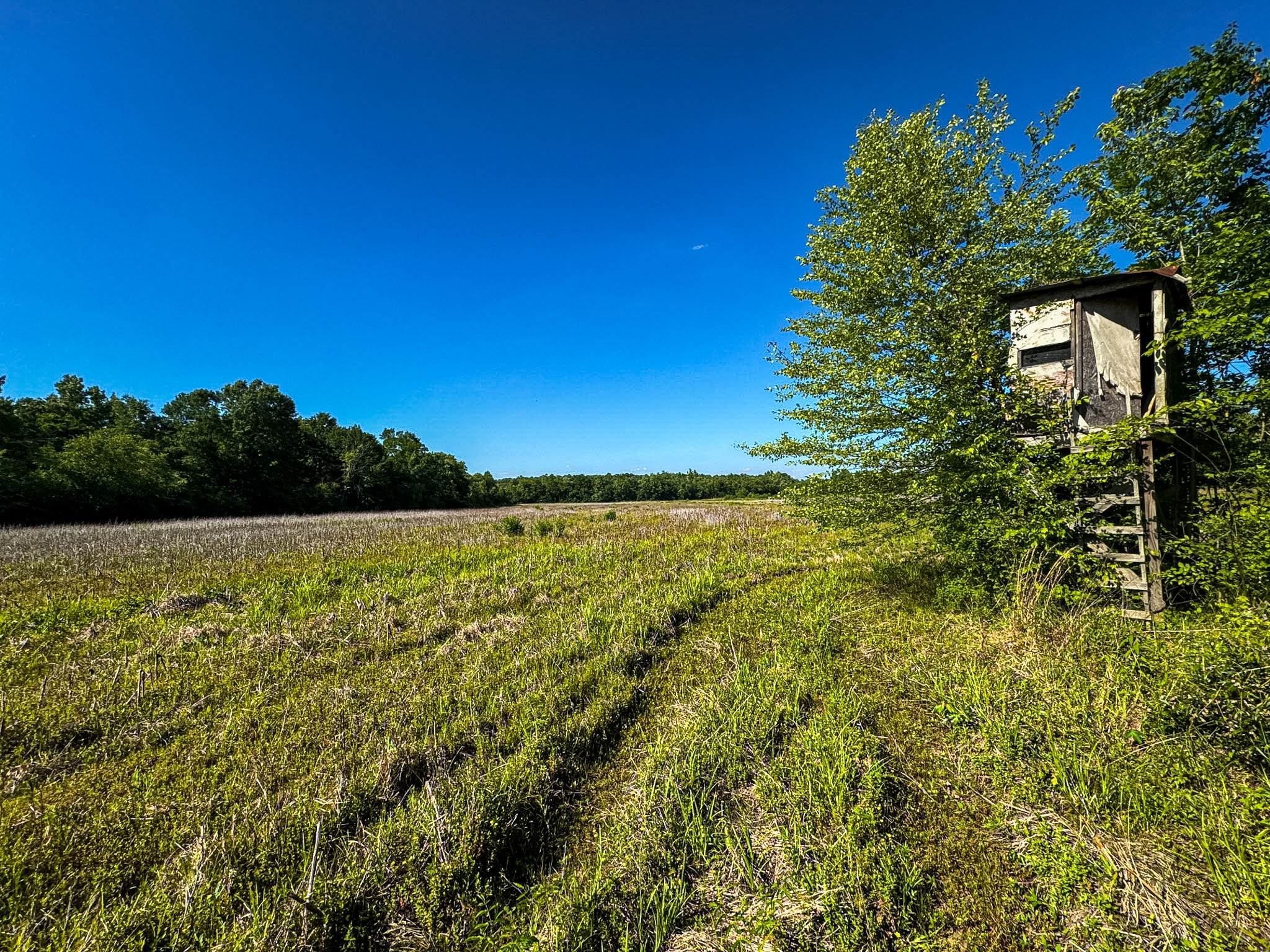 23620 Highway 69 Adamsville TN 38310