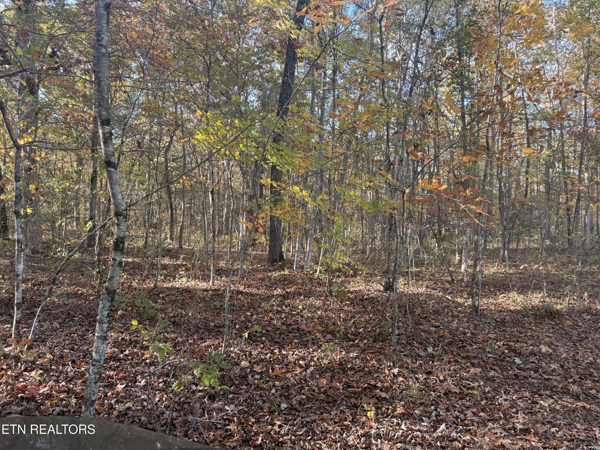0 Davidson Lane Crossville TN 38571