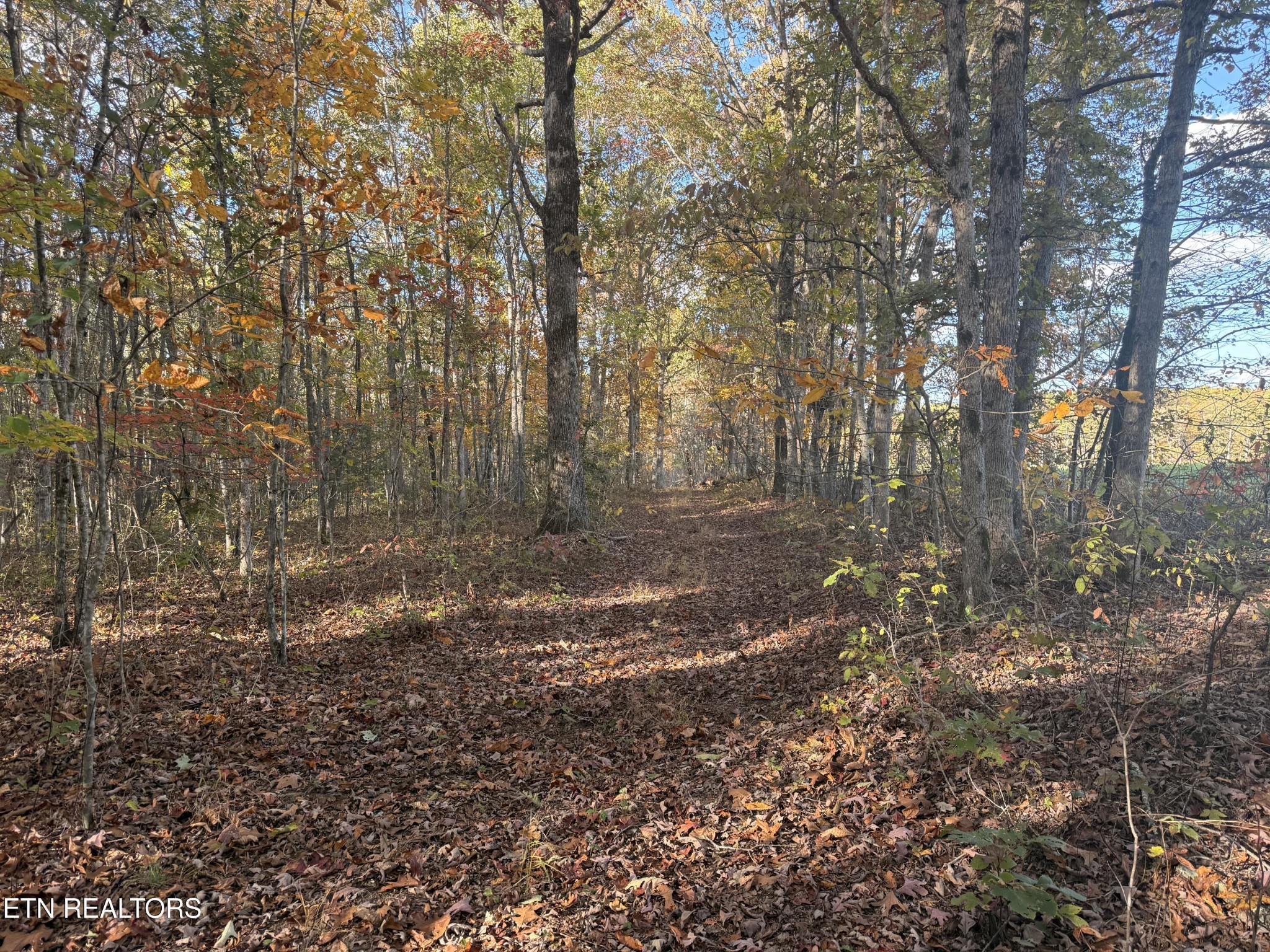 0 Davidson Lane Crossville TN 38571